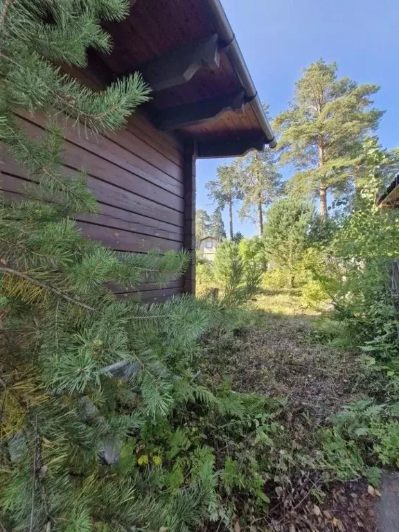 Дом в Иркутская область, Иркутский муниципальный округ, Светофор СНТ ... - Фото 2