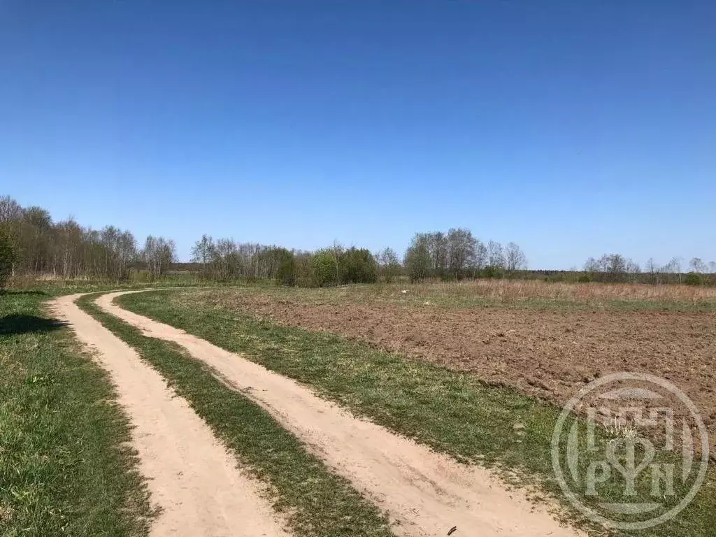 Участок в Ленинградская область, Кингисеппский район, Большелуцкое ... - Фото 2