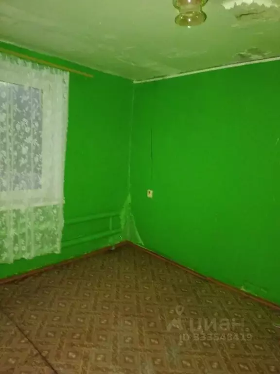 Помещение свободного назначения в Нижегородская область, Спасский ... - Фото 2