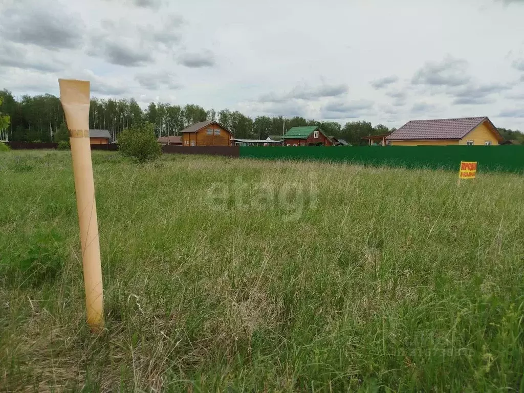 Участок в Владимирская область, Петушинское муниципальное образование, ... - Фото 1
