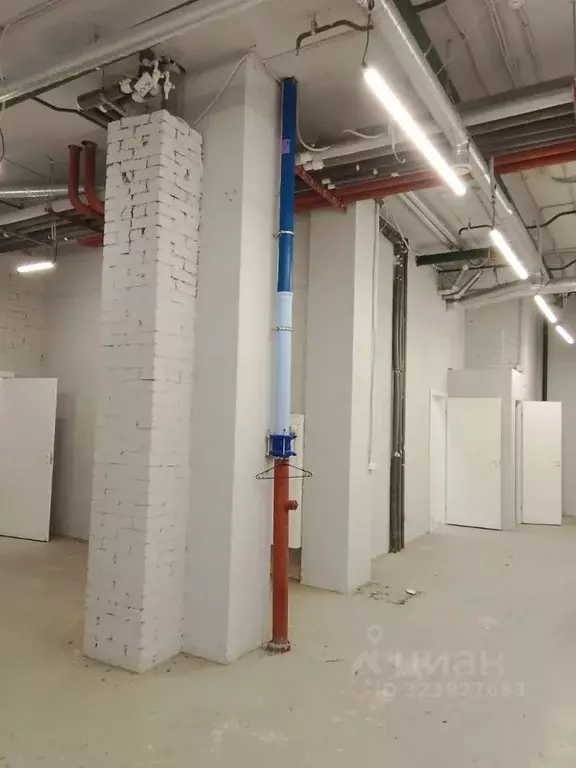 Помещение свободного назначения в Санкт-Петербург Политехническая ул., ... - Фото 2