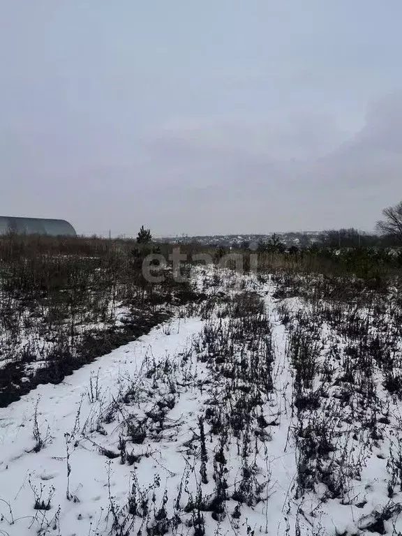 Участок в Курская область, Курский район, Моковский сельсовет, д. 1-я ... - Фото 0