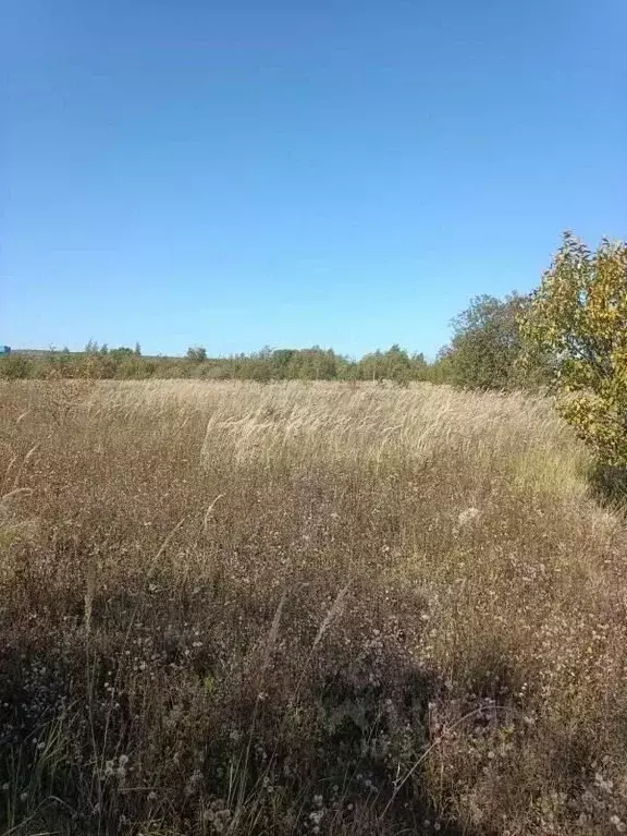 Участок в Калужская область, Бабынинский муниципальный округ, ... - Фото 2