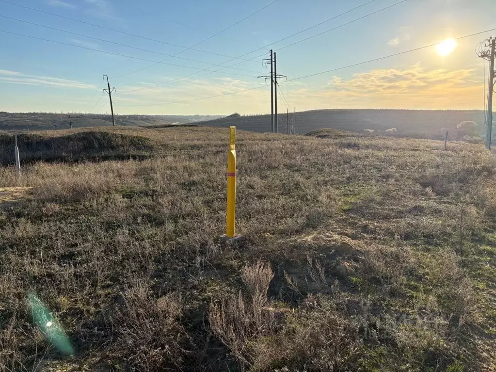 Участок в Волгоградская область, Городищенский район, Царицынское ... - Фото 1