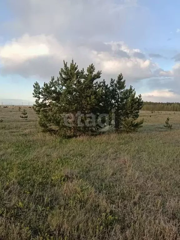 Участок в Татарстан, Тукаевский район, Малошильнинское с/пос, с. ... - Фото 0