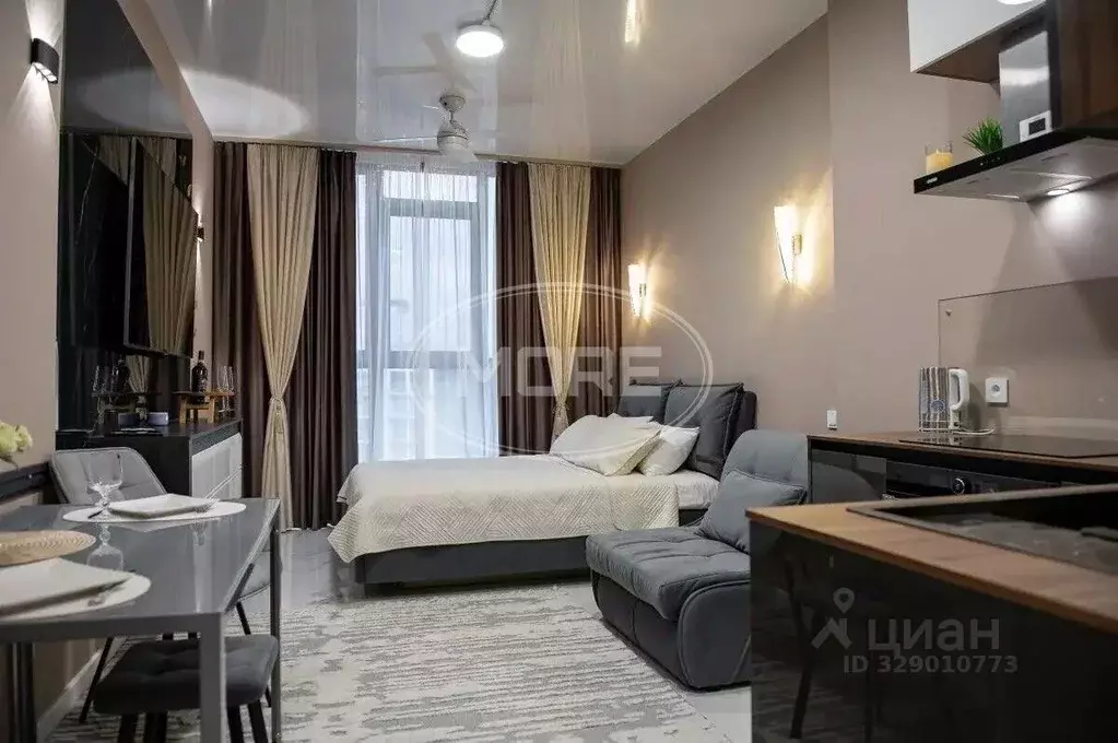 Студия Калининградская область, Зеленоградск ул. Гагарина, 87 (27.8 м) - Фото 1