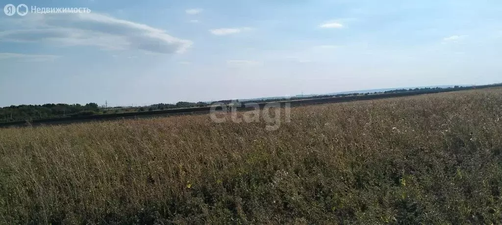 Участок в Новогусельский, территория СХПК Аграрник (570 м) - Фото 2