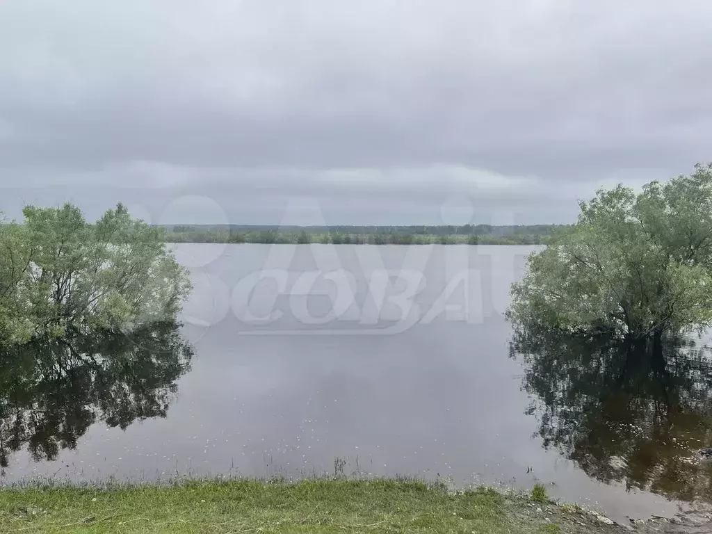 Участок 15 сот. (СНТ, ДНП) - Фото 0