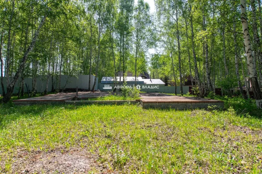 Участок в Башкортостан, Абзелиловский район, Ташбулатовский сельсовет, ... - Фото 2