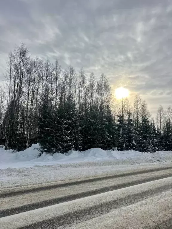 Участок в Московская область, Одинцовский городской округ, с. Ершово, ... - Фото 2