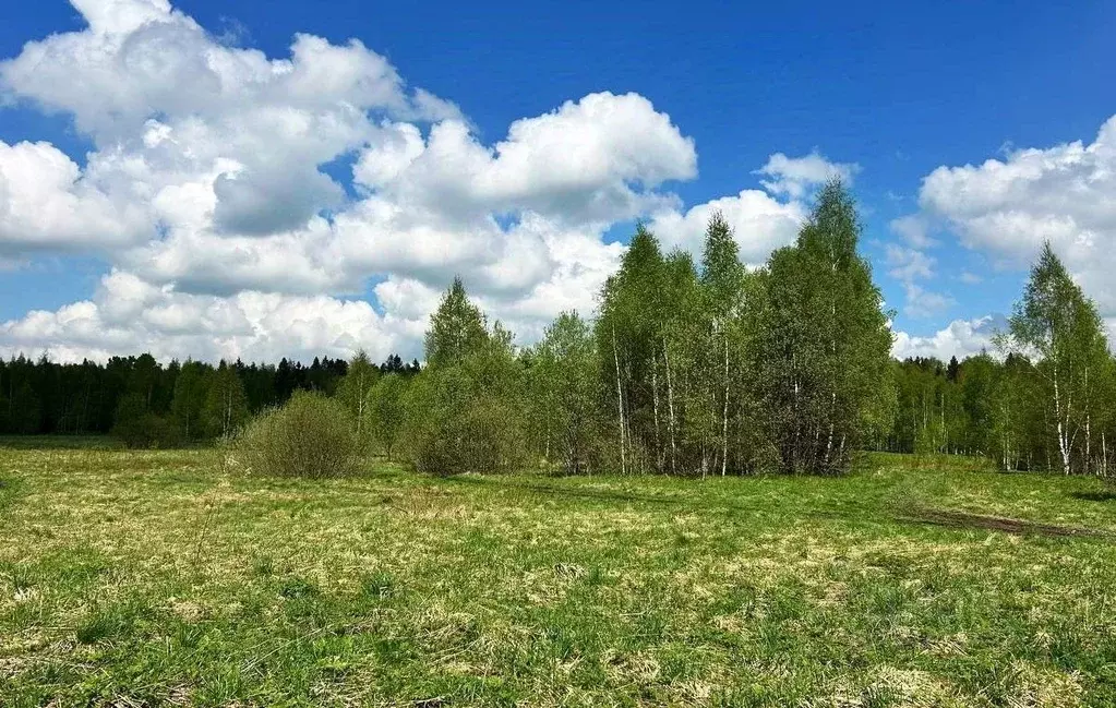 Участок в Московская область, Дмитровский муниципальный округ, пос. ... - Фото 1
