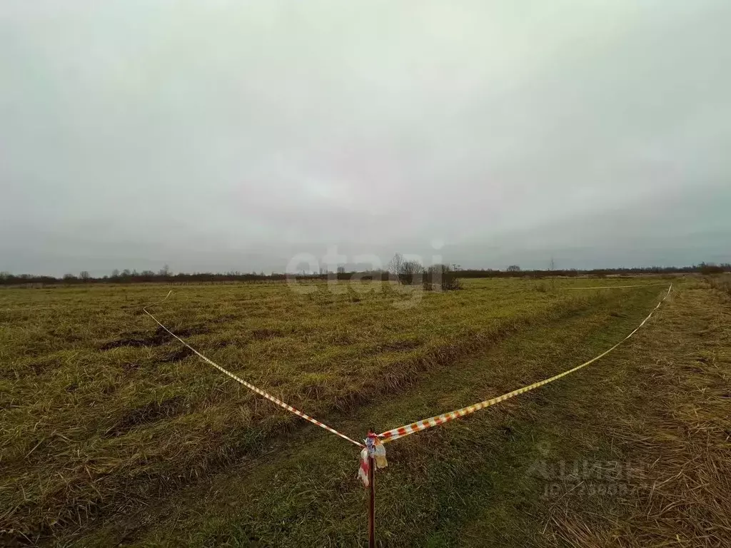 Участок в Ярославская область, Ярославский муниципальный округ, с. ... - Фото 1
