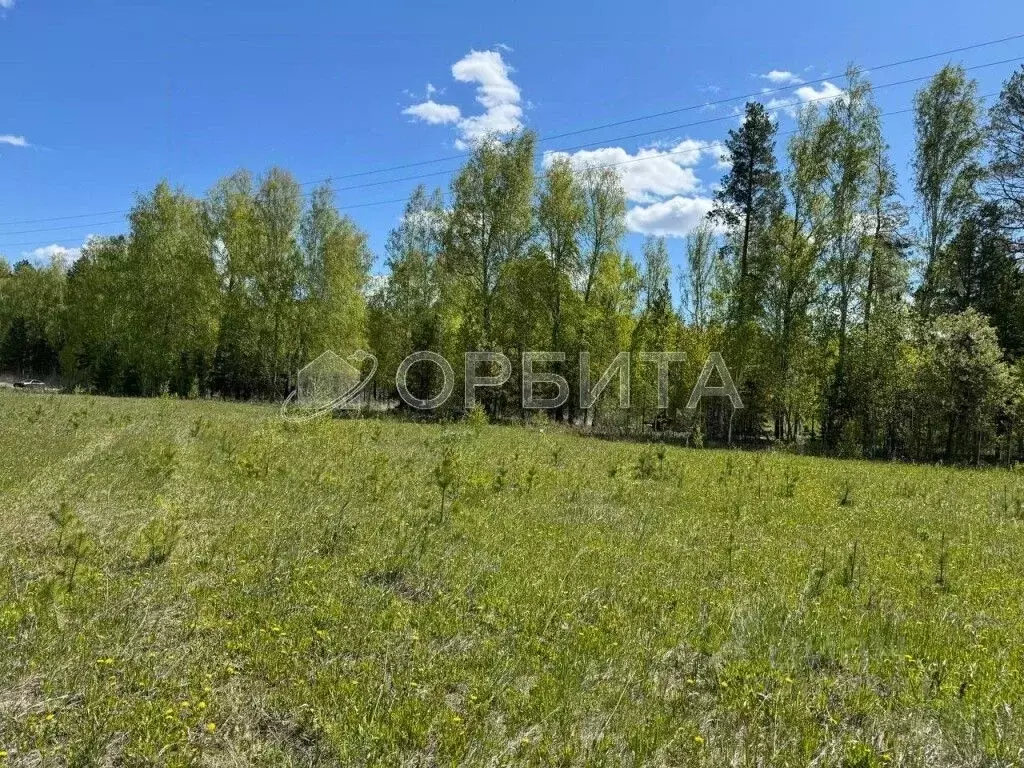 Участок в Тюменская область, Тюменский район, д. Ушакова Зеленая ул. ... - Фото 1