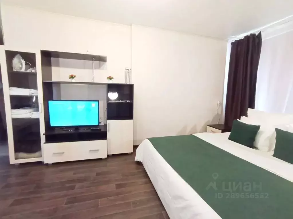 1-к кв. Сахалинская область, Южно-Сахалинск ул. Ленина, 293А (31.0 м) - Фото 0