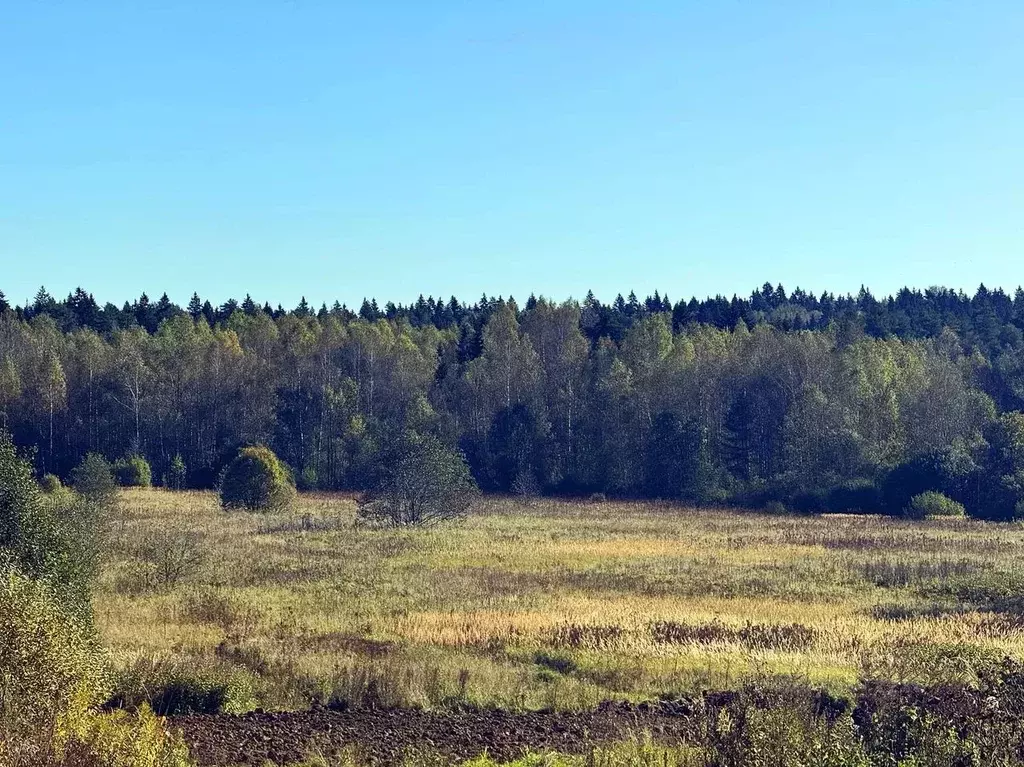 Участок в Московская область, Дмитровский муниципальный округ, Ерыково ... - Фото 1