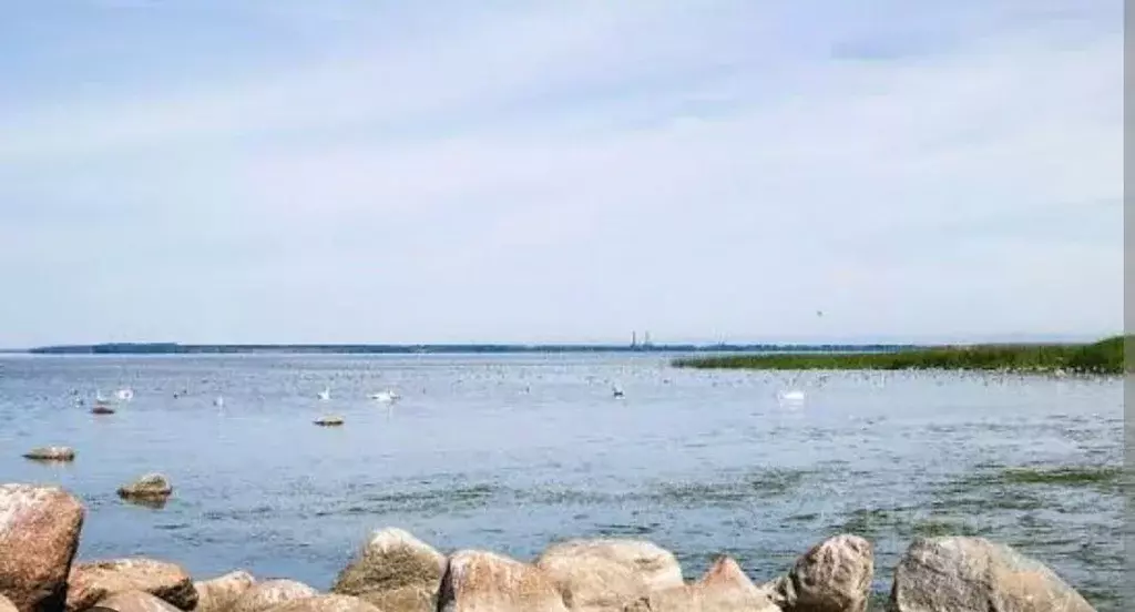 Участок в Калининградская область, Ладушкин  (8.0 сот.) - Фото 1