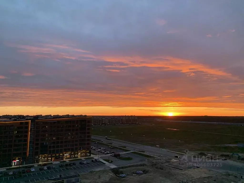 студия ленинградская область, ломоносовский район, аннинское городское . - Фото 1