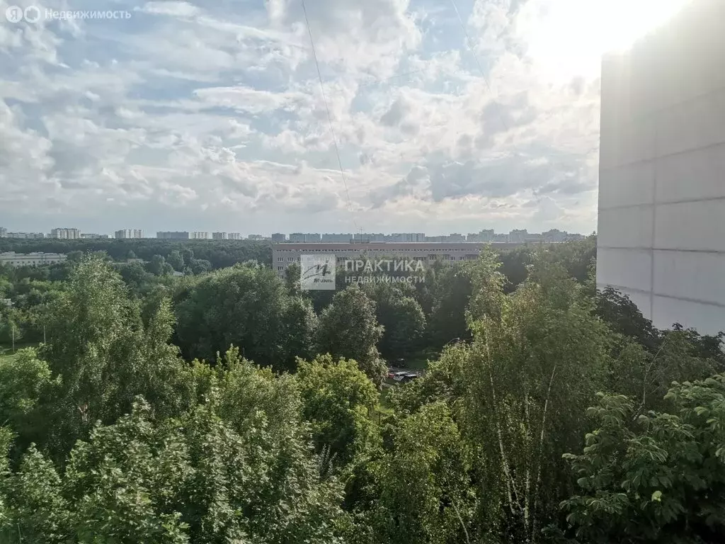 1к в 3-комнатной квартире (16.2 м) - Фото 2
