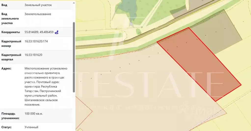 Участок в Татарстан, с. Пестрецы  (80.0 сот.) - Фото 2