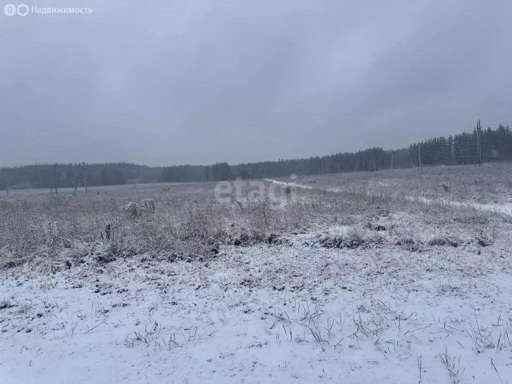 Участок в Нижегородская область, Балахнинский муниципальный округ, ... - Фото 0