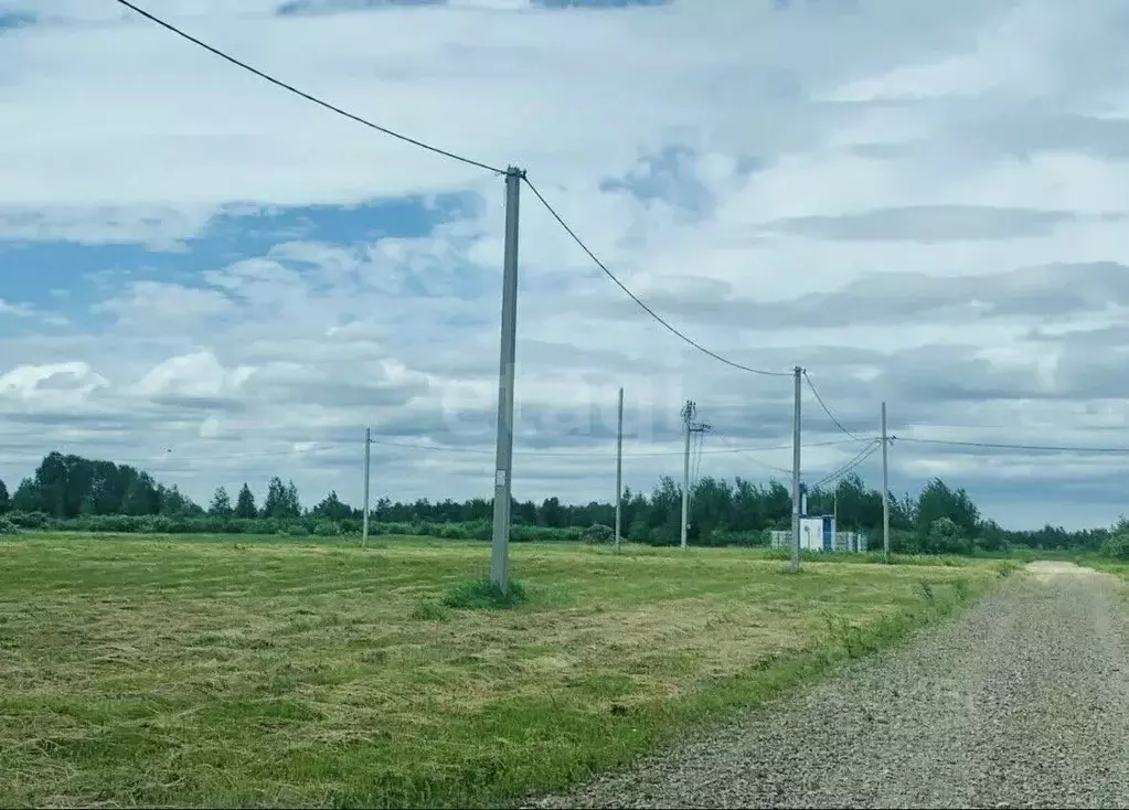 Участок в Тюменская область, Тюменский муниципальный округ, д. Марай ... - Фото 2