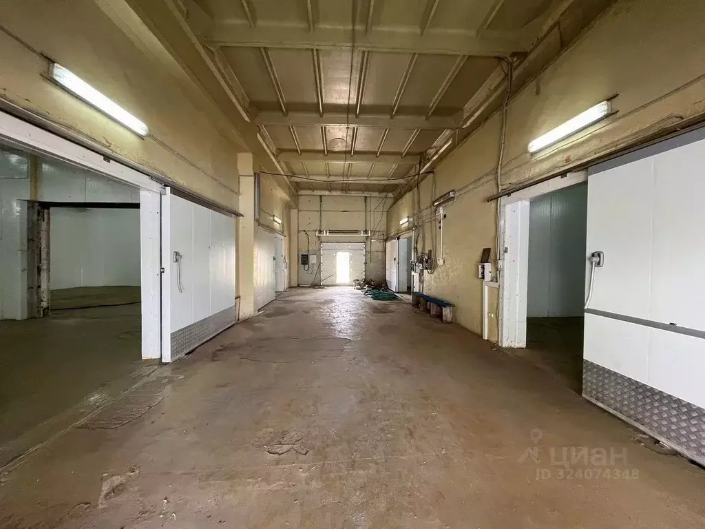 Помещение свободного назначения в Московская область, Рузский ... - Фото 2