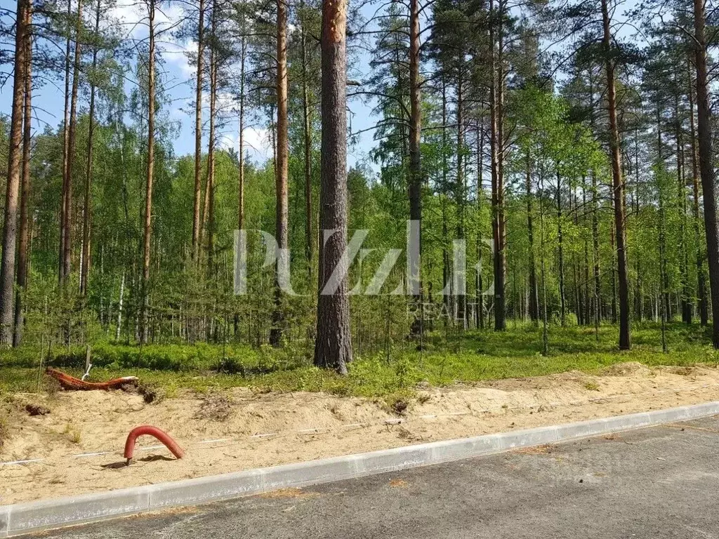 Участок в Ленинградская область, Приозерский район, Раздольевское ... - Фото 0