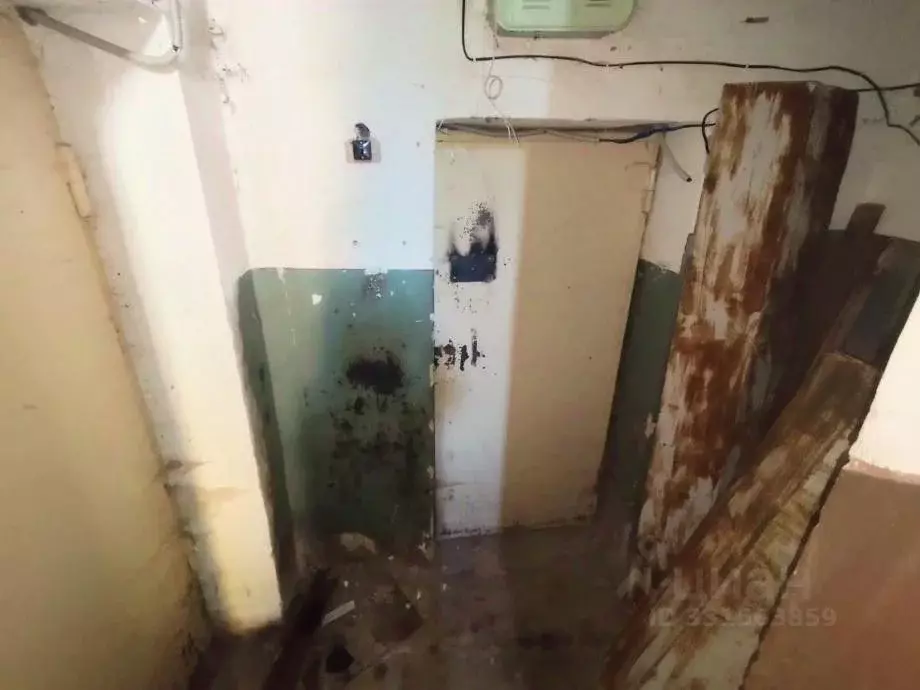 Помещение свободного назначения в Пермский край, Березники ул. ... - Фото 2