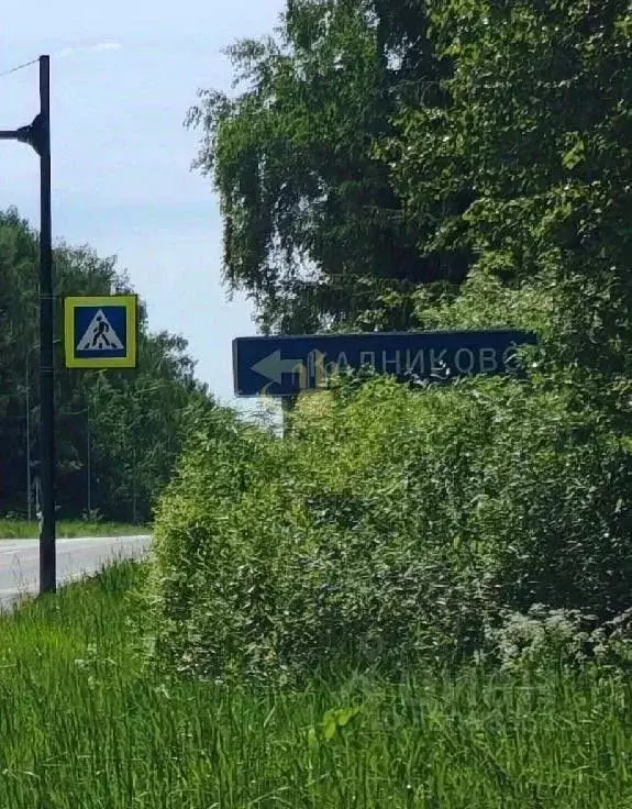 Участок в Ивановская область, Ивановский муниципальный округ, ... - Фото 2