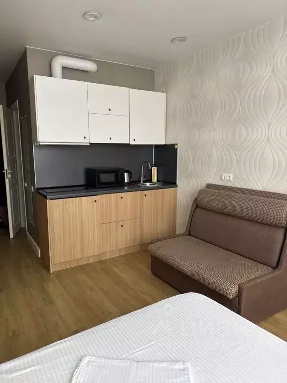 Студия Краснодарский край, Сочи Адлер жилрайон, ул. Чкалова, 13 (23.0 ... - Фото 1