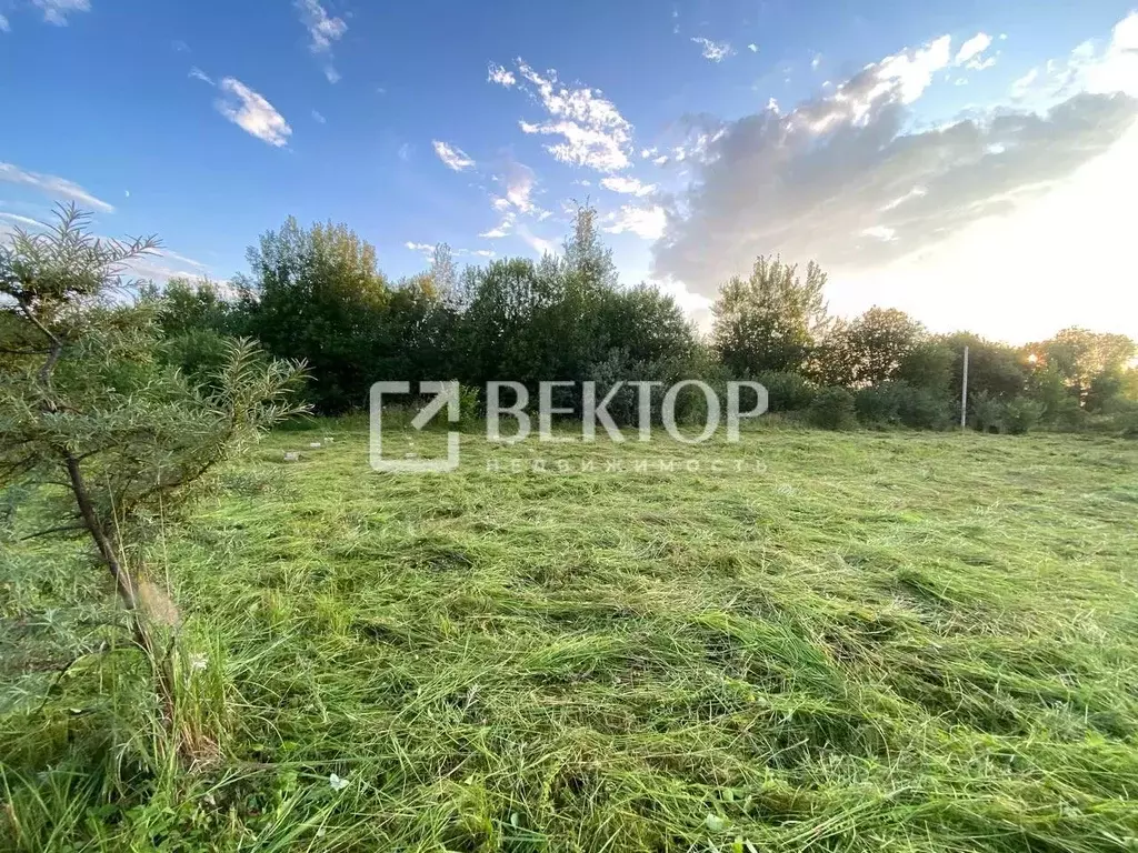 Дом в Костромская область, Костромской район, Бакшеевское с/пос, Лужок ... - Фото 1