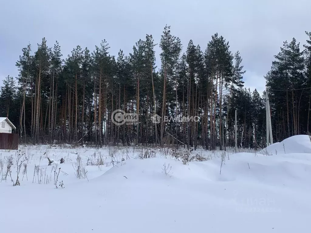 Дом в Воронежская область, Рамонский район, Новоживотинновское с/пос, ... - Фото 0