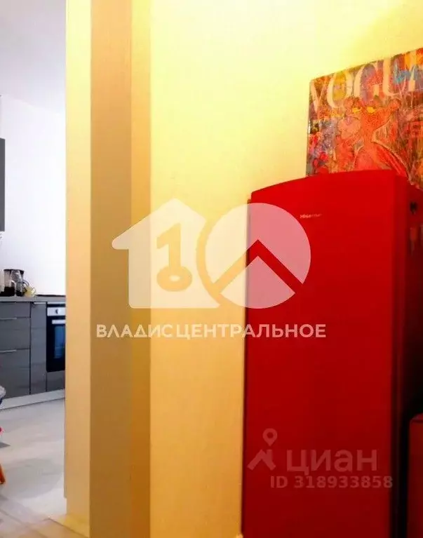 Студия Новосибирская область, Новосибирск ул. Ясный Берег, 25 (24.3 м) - Фото 1