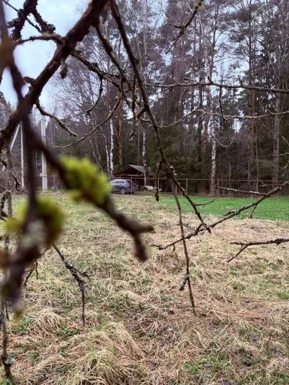 Участок, 6.6 сот., поселения (ижс) - Фото 1