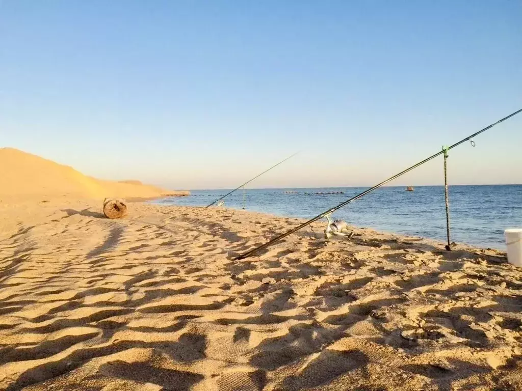 Участок в Краснодарский край, Темрюкский район, Новотаманское с/пос, ... - Фото 1