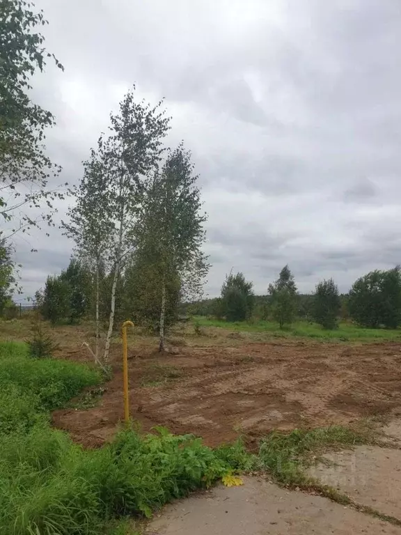 Участок в Москва д. Ширяево, аллея Березовая, 25 (9.0 сот.) - Фото 2