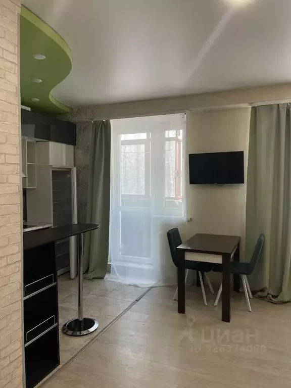 Студия Московская область, Богородский городской округ, д. Щемилово ... - Фото 2