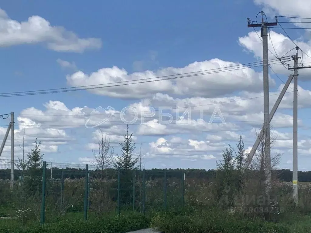 Участок в Тюменская область, Вагайский муниципальный округ, д. Елань ... - Фото 1