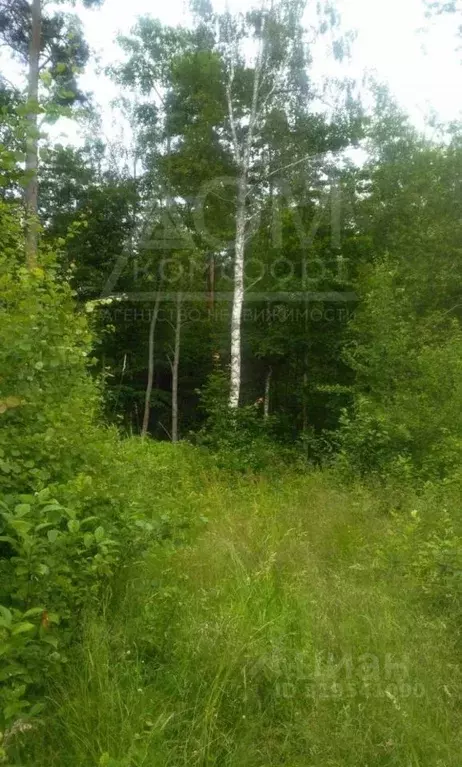 Участок в Ленинградская область, Приозерский район, Плодовское с/пос, ... - Фото 0