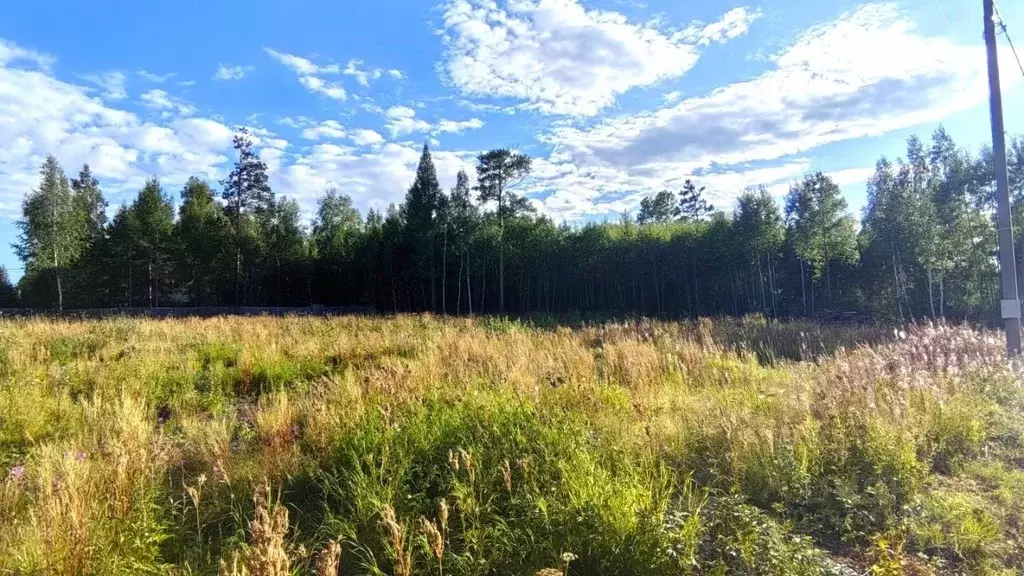 Участок в Иркутская область, Иркутский муниципальный округ, Солнышко ... - Фото 2