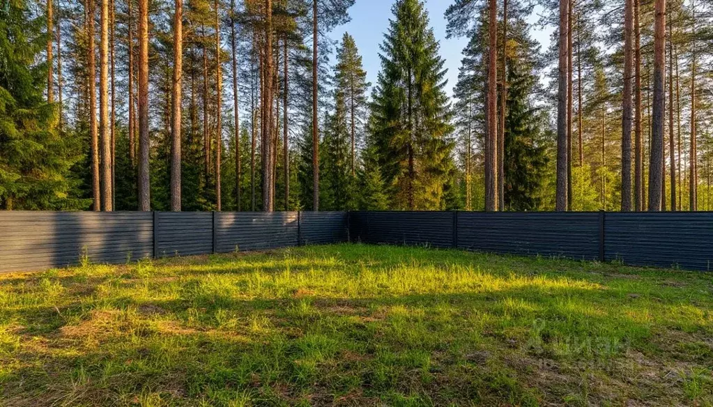 Участок в Московская область, Истра муниципальный округ, д. Котово  ... - Фото 1