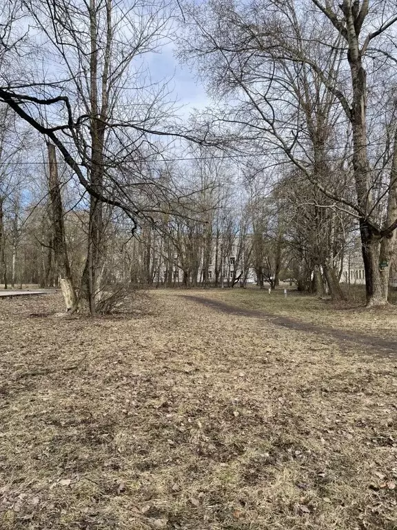 Комната Санкт-Петербург 2-я Комсомольская ул., 13К1 (14.8 м) - Фото 1