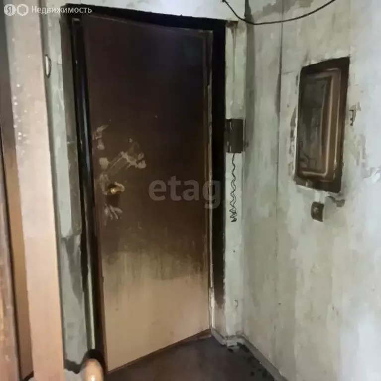 1-комнатная квартира: посёлок Мичуринский, Выставочная улица, 1 (31.2 ... - Фото 2