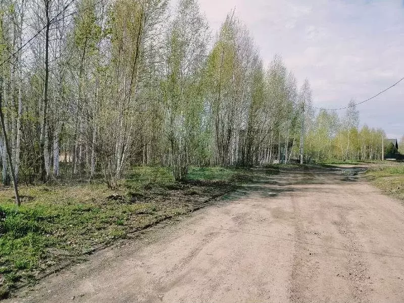 Участок 12 сот. (ИЖС) - Фото 0
