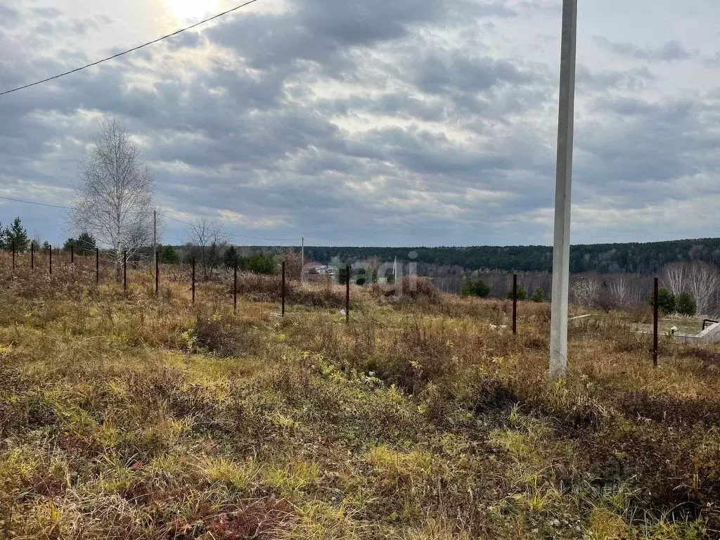 Участок в Кемеровская область, Кемеровский район, с. Силино ул. 3-я ... - Фото 1