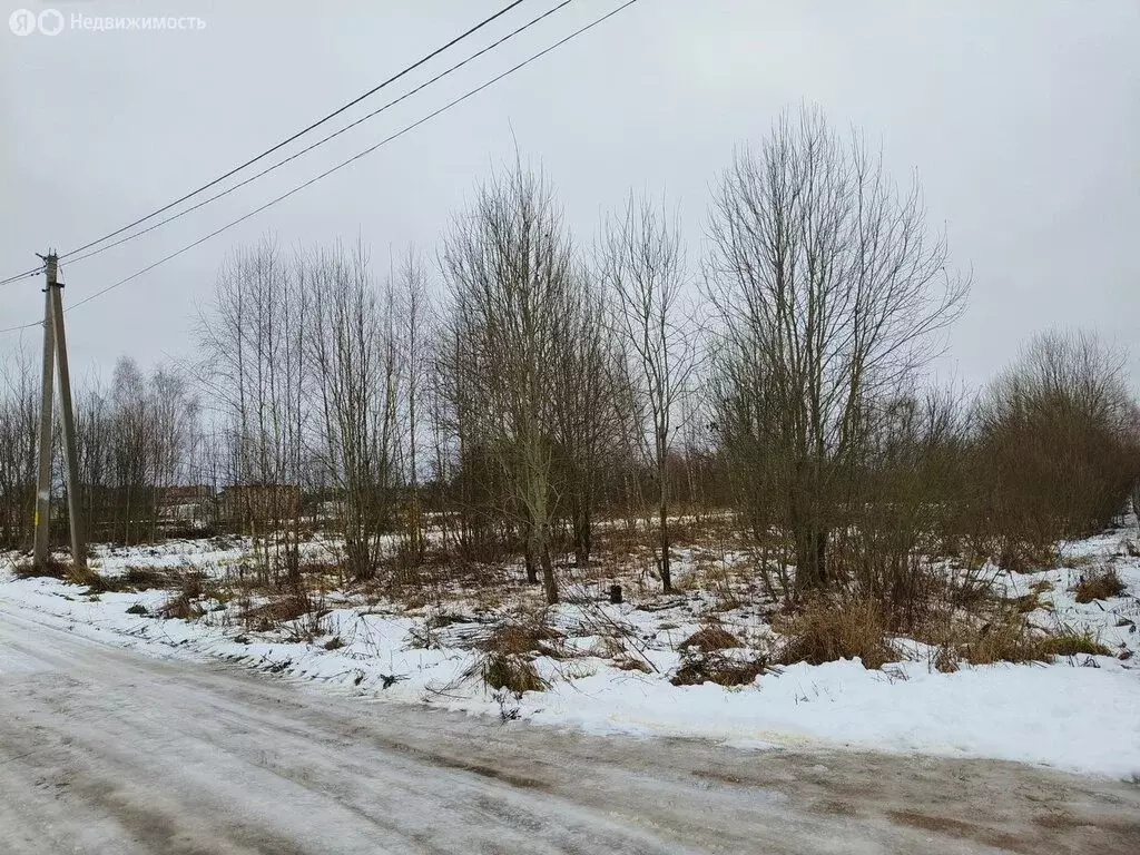 Участок в Псковский район, Писковичская волость, деревня Загорицы, ... - Фото 1