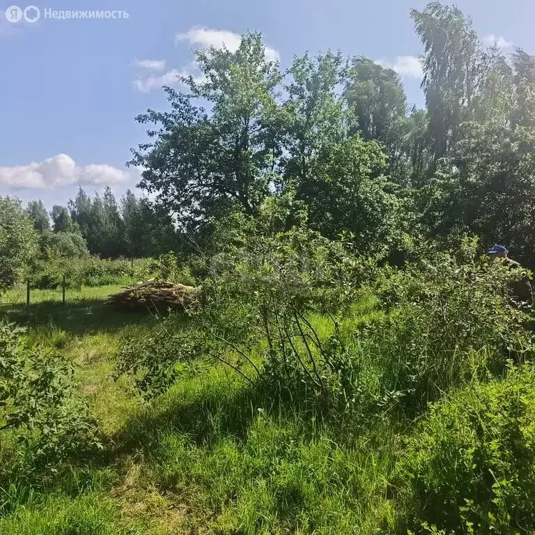 Участок в Костромской район, Бакшеевское сельское поселение, СНТ ... - Фото 1