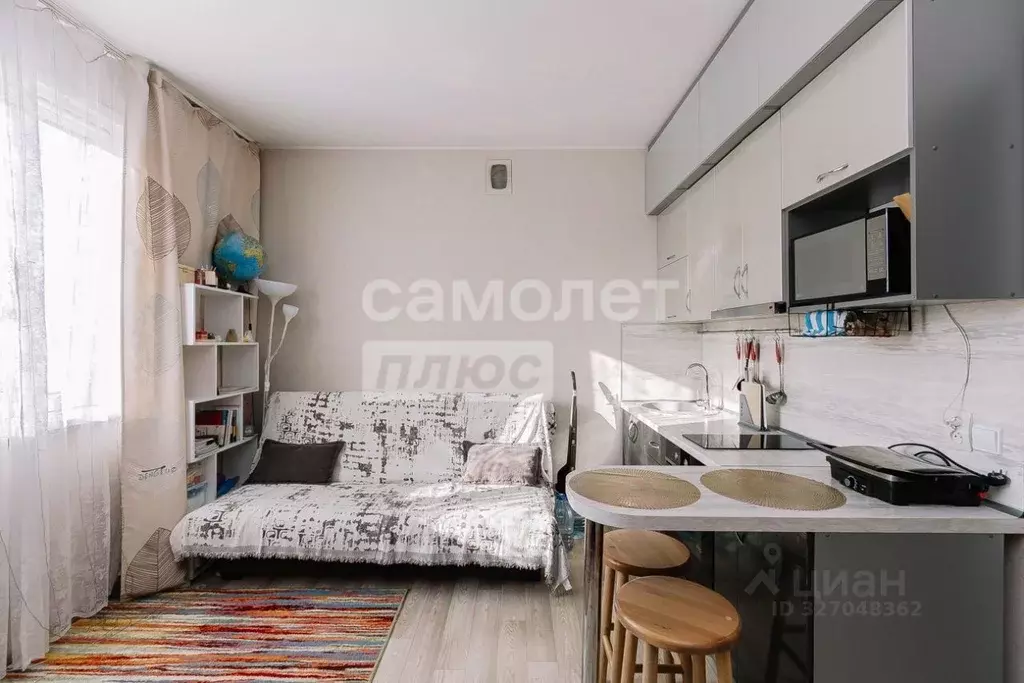 Студия Новосибирская область, Новосибирский район, с. Криводановка ... - Фото 2