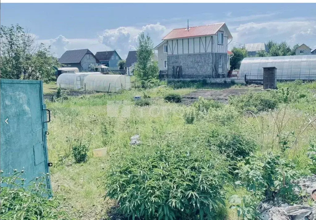 Участок в Новосибирская область, Новосибирский район, Верх-Тулинский ... - Фото 1
