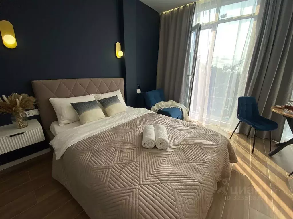 Студия Краснодарский край, Сочи ул. Ленина, 219 (25.0 м) - Фото 1